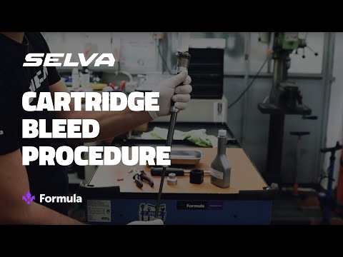 Formula Selva - Cartridge Bleed Procedure service